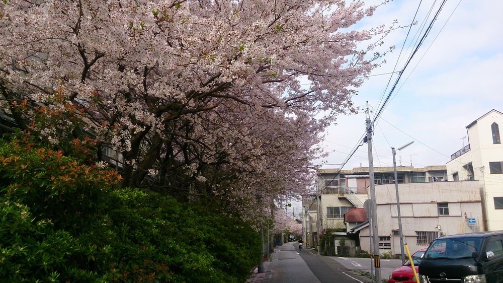Shoei Daini Bekkan Kōchi Exterior foto