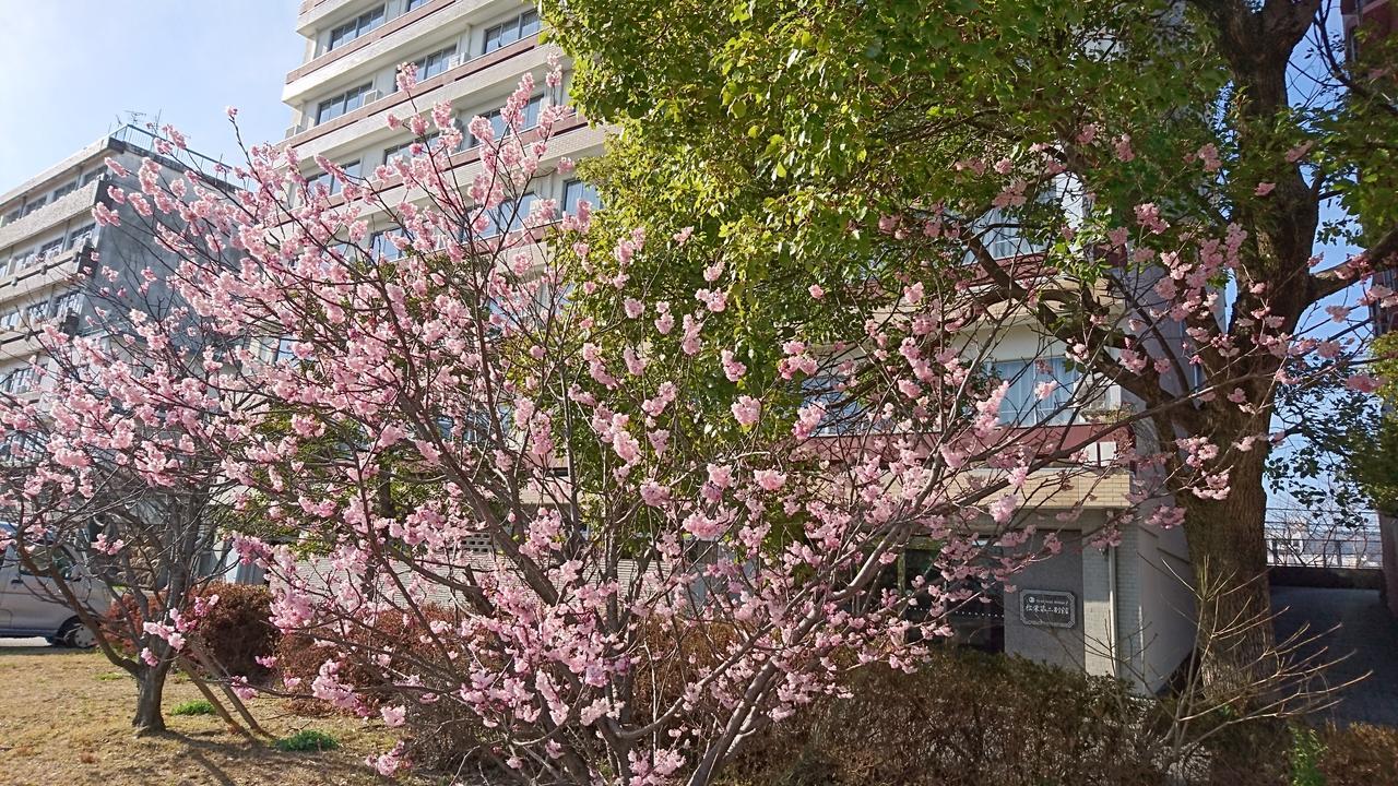 Shoei Daini Bekkan Kōchi Exterior foto